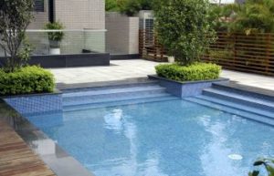 Swimming pool in a well-maintained backyard.